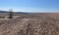 Продава ПАРЦЕЛ, с. Близнаци, област Варна, снимка 9
