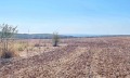 Продава ПАРЦЕЛ, с. Близнаци, област Варна, снимка 1