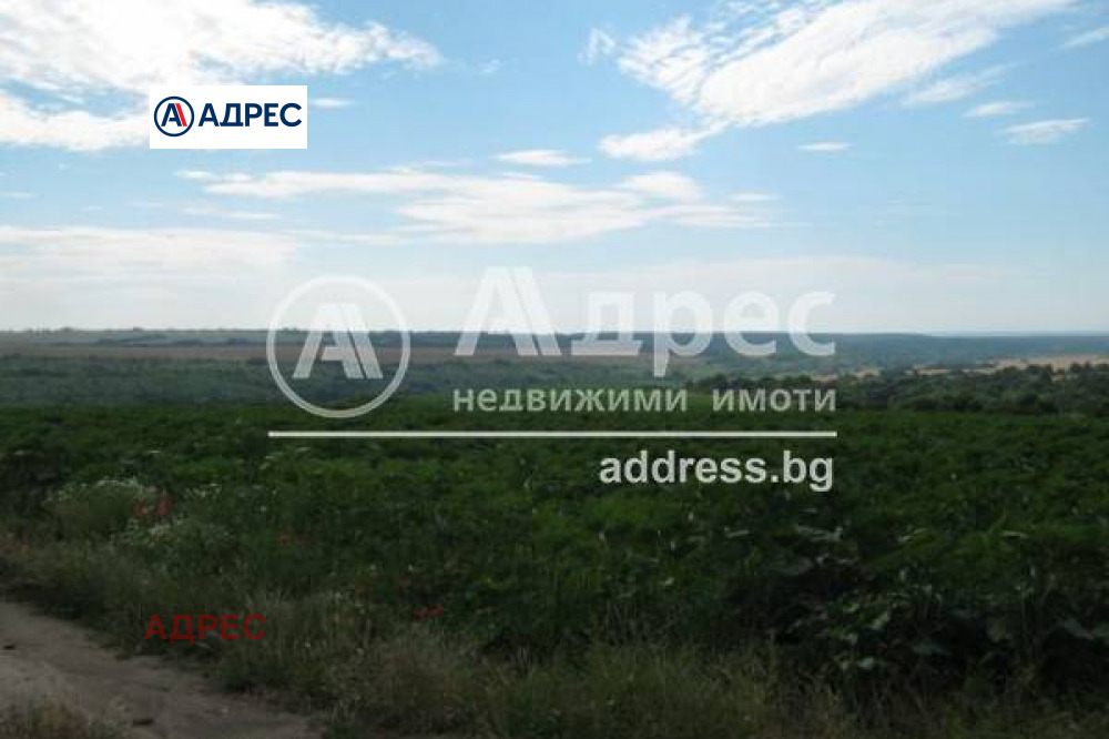 ������� ������ | Imot.bg � ����������� 2