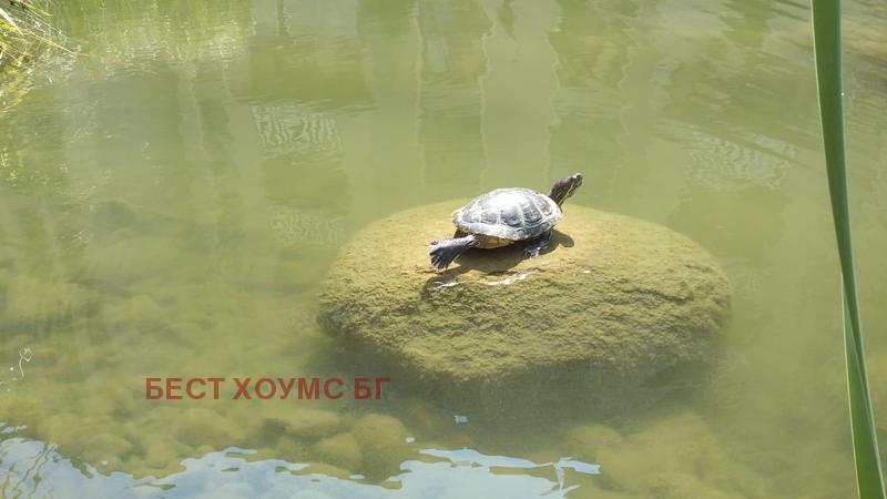 ������� 2-����� | Imot.bg � ����������� 4