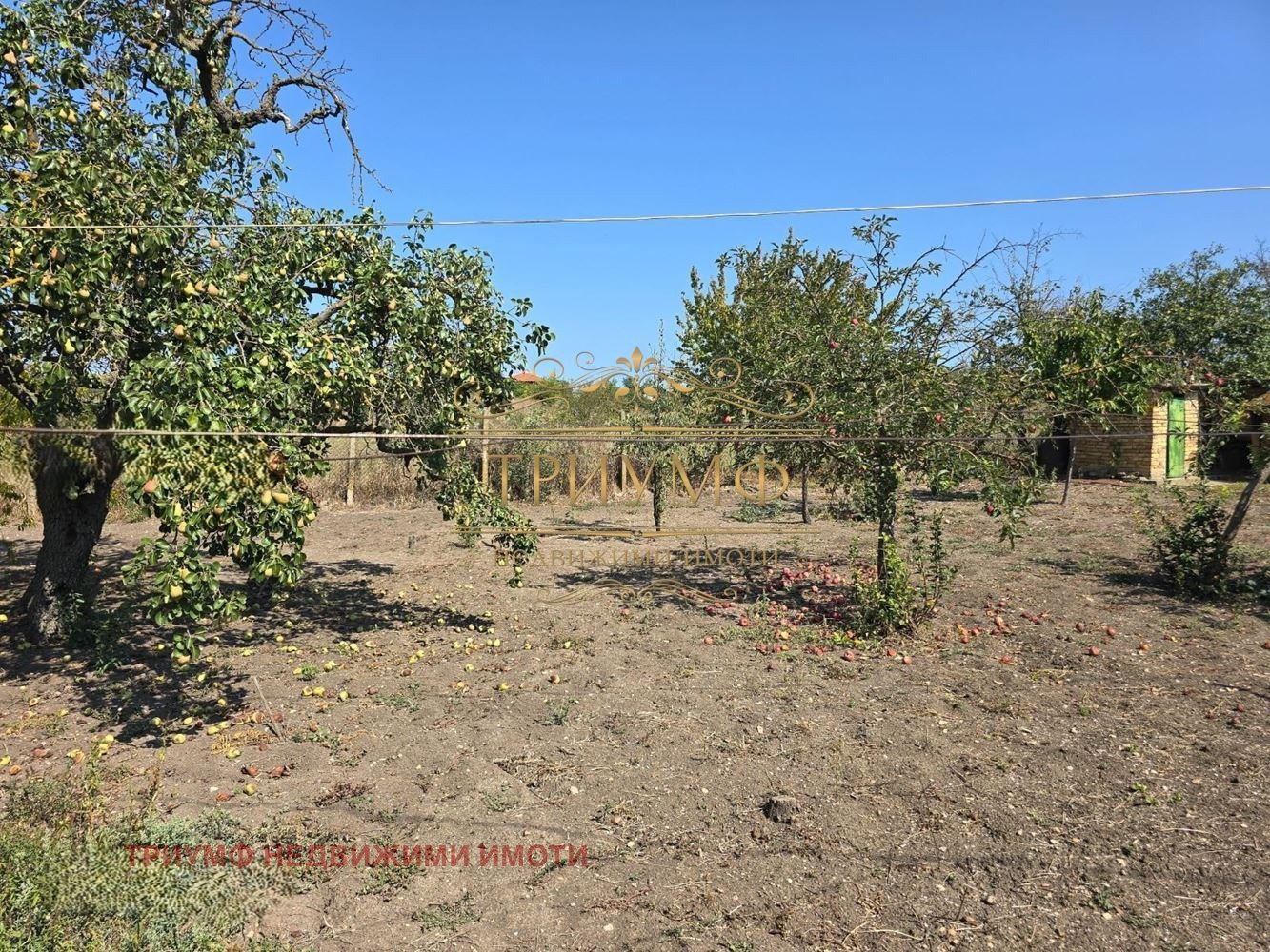 ������� ���� | Imot.bg � ����������� 7