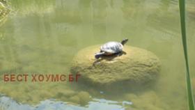 ������� 2-����� | Imot.bg � ����� ������ 4