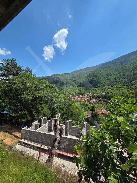 Продава ВИЛА, с. Бачково, област Пловдив, снимка 2 - Вили - 52657533