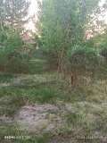 Продава КЪЩА, област Русе, с. Бистренци • 17000 € • 75004975 — Holmes.bg