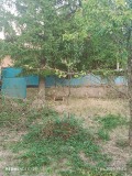 Продава КЪЩА, област Русе, с. Бистренци • 17000 € • 75004975 — Holmes.bg
