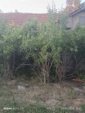Продава КЪЩА, област Русе, с. Бистренци • 17000 € • 75004975 — Holmes.bg