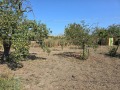 Продава  Къща област Варна , с. Житница , 80 кв.м | 90091426 - изображение [7]