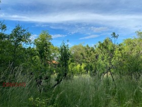 ������� ���� | Imot.bg � ����� ������ 11