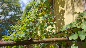 ������� ���� | Imot.bg � ����� ������ 10