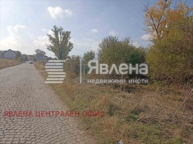 ����� ������� ������,���� �����, ���������