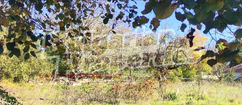 De vânzare  Complot regiunea Varna , Biala , 797 mp | 84977790 - imagine [4]