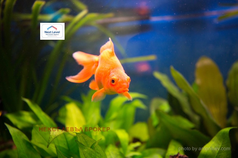 Продава БИЗНЕС ИМОТ, гр. София, Лозенец