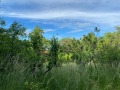 Продава КЪЩА, с. Дедево, област Пловдив, снимка 11