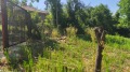 Продава ПАРЦЕЛ, област Габрово, с. Мрахори • 18000 лв. • 21037439 — Holmes.bg