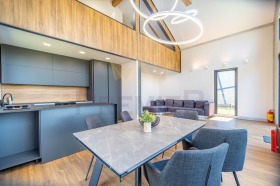 ������ ������� ����