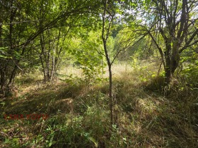 ������� ������ | Imot.bg � ����� ������ 3