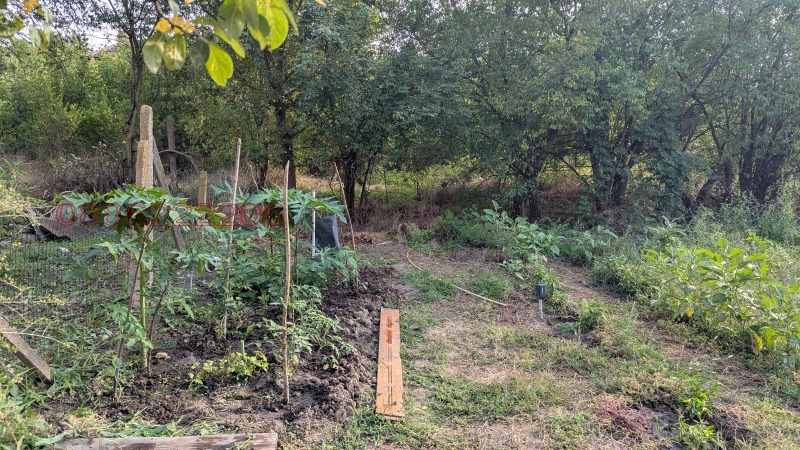 Продава КЪЩА, с. Зидарово, област Бургас, снимка 6 - Къщи - 53084747