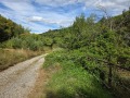 Продава ПАРЦЕЛ, с. Балканец, област Ловеч, снимка 4