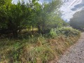 Продава ПАРЦЕЛ, с. Балканец, област Ловеч, снимка 2
