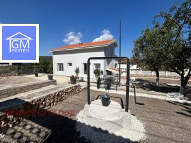 ������ ������� ����