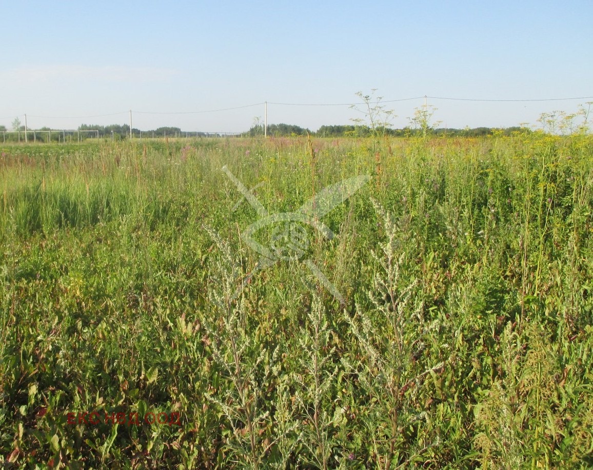 Продава ПАРЦЕЛ | Imot.bg — изображение 1