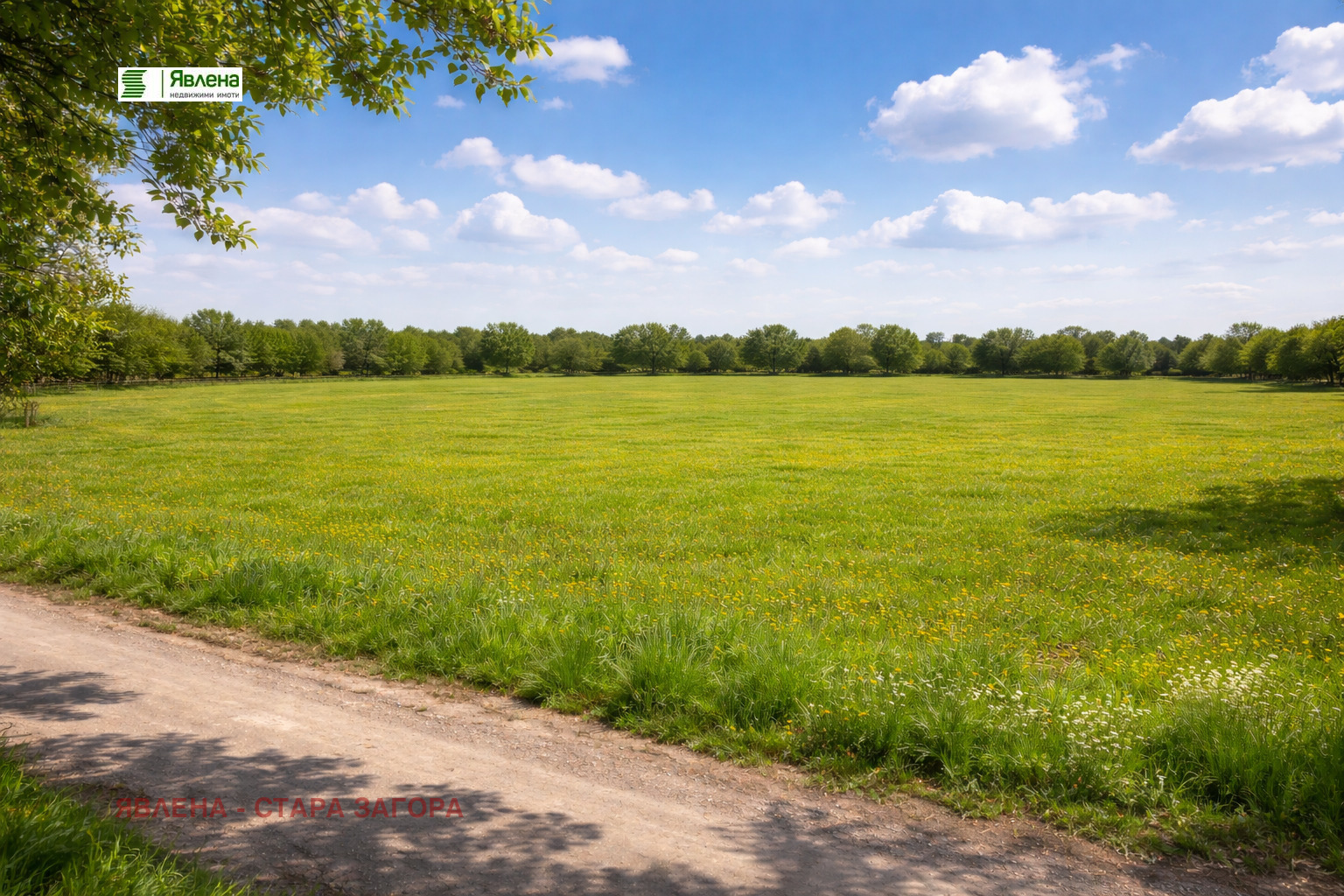 ������� ������ | Imot.bg � ����������� 1