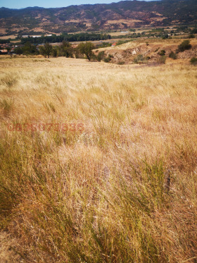   | Imot.bg    4
