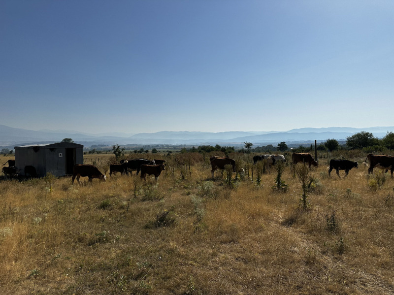 Προς πώληση  Οικόπεδο περιοχή Μπλαγκόεβγκραντ , Ραζλογ , 6525 τ.μ | 77274663 - εικόνα [7]