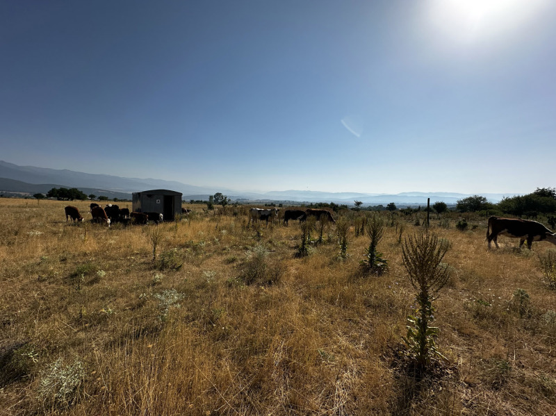Προς πώληση  Οικόπεδο περιοχή Μπλαγκόεβγκραντ , Ραζλογ , 6525 τ.μ | 77274663 - εικόνα [2]
