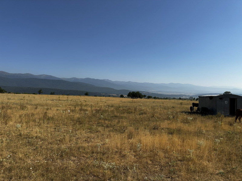 Προς πώληση  Οικόπεδο περιοχή Μπλαγκόεβγκραντ , Ραζλογ , 6525 τ.μ | 77274663 - εικόνα [6]
