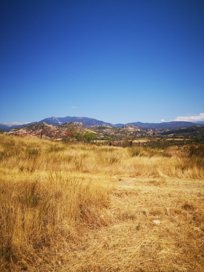 Продава ПАРЦЕЛ, с. Струмяни, област Благоевград, снимка 6 - Парцели - 52752469