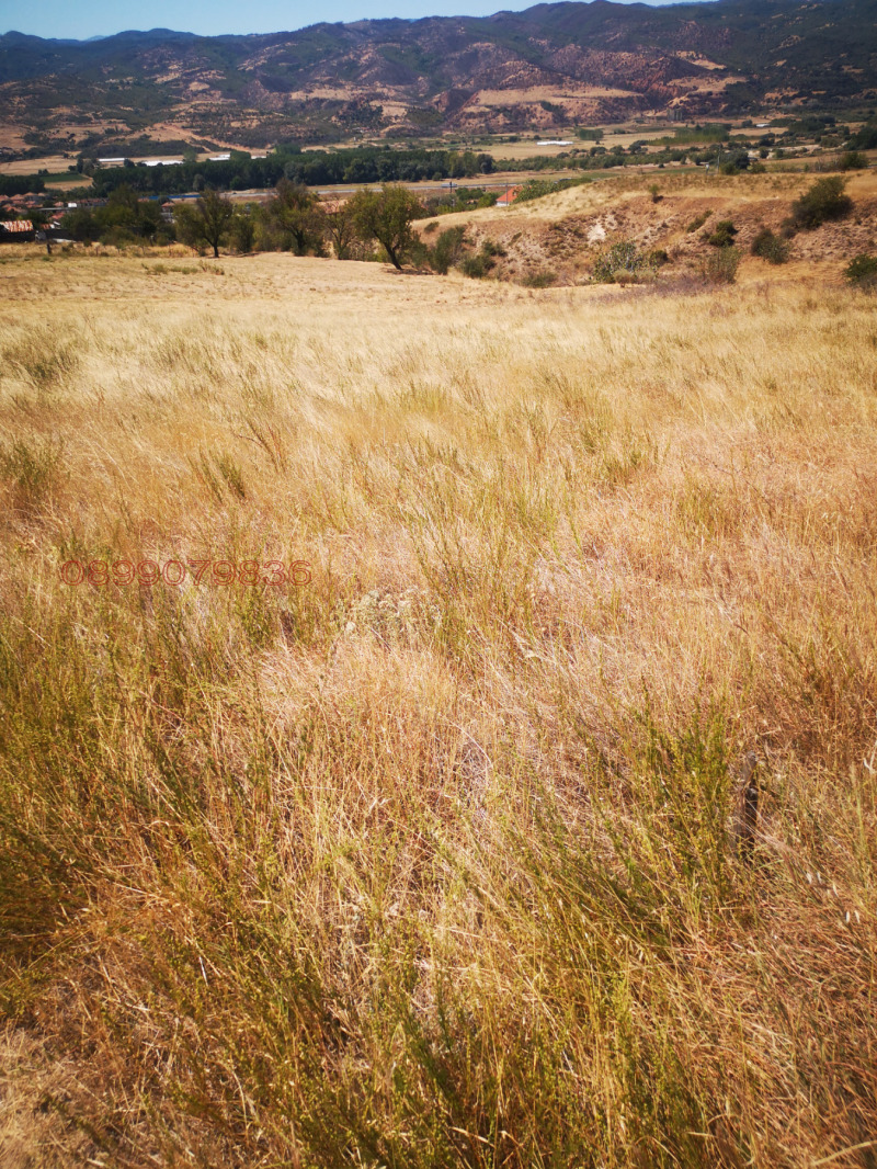 Продава ПАРЦЕЛ, с. Струмяни, област Благоевград, снимка 4 - Парцели - 52752469