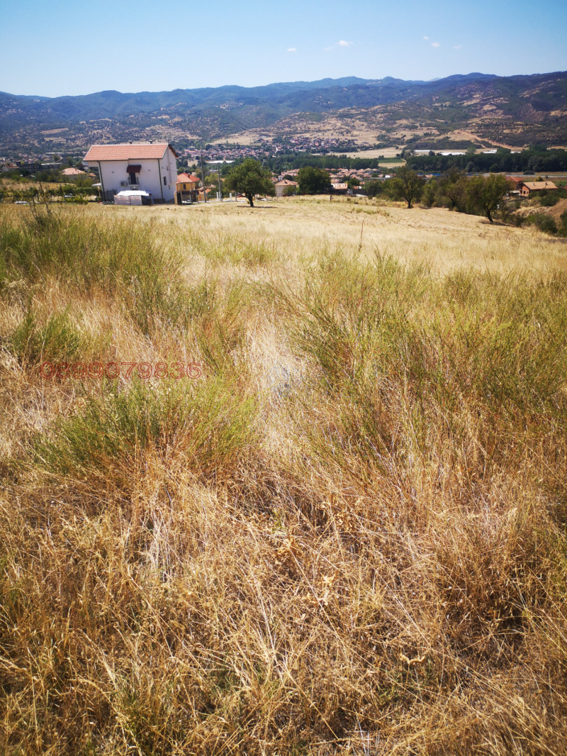 Продава ПАРЦЕЛ, с. Струмяни, област Благоевград, снимка 10 - Парцели - 52752469