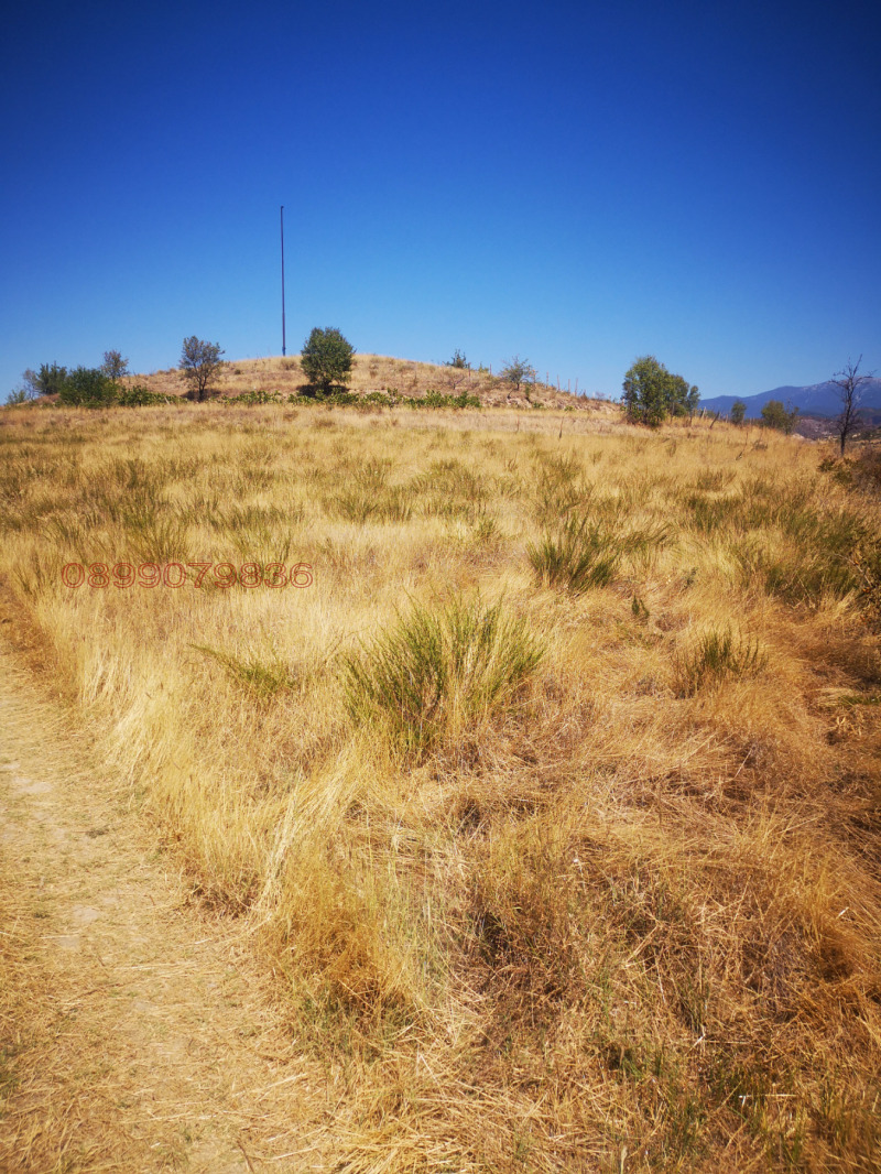 Продава ПАРЦЕЛ, с. Струмяни, област Благоевград, снимка 12 - Парцели - 52752469