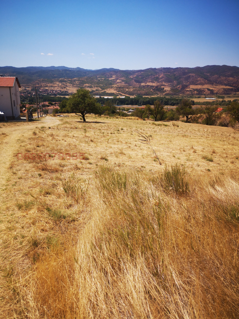 Продава ПАРЦЕЛ, с. Струмяни, област Благоевград, снимка 2 - Парцели - 52752469