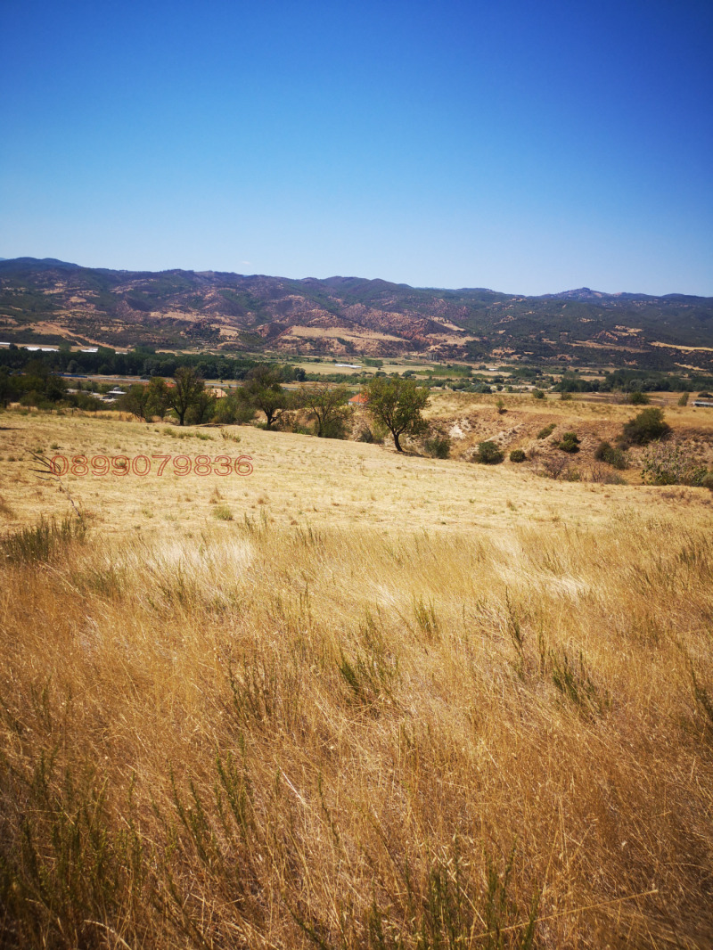 Продава ПАРЦЕЛ, с. Струмяни, област Благоевград, снимка 5 - Парцели - 52752469