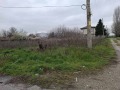 Продава ПАРЦЕЛ, с. Хаджиево, област Пазарджик, снимка 4