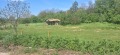 Продава ПАРЦЕЛ, с. Дългач, област Търговище, снимка 1