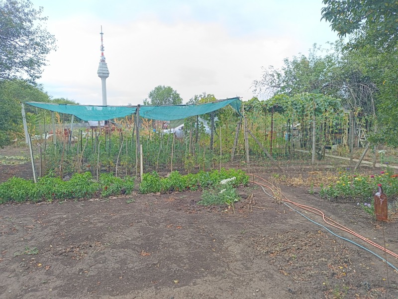 Продава  Вила град Добрич , м-т Газибаба , 30 кв.м | 21883816 - изображение [12]