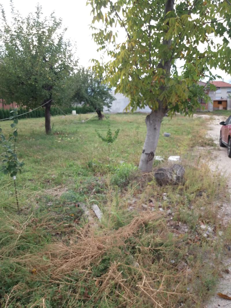 ������� ������ | Imot.bg � ����������� 1