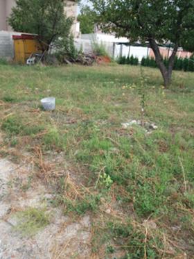 ������� ������ | Imot.bg � ����� ������ 3