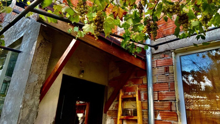 For Sale  House region Burgas , Brodilovo , 256 sq.m | 50983193 - image [14]
