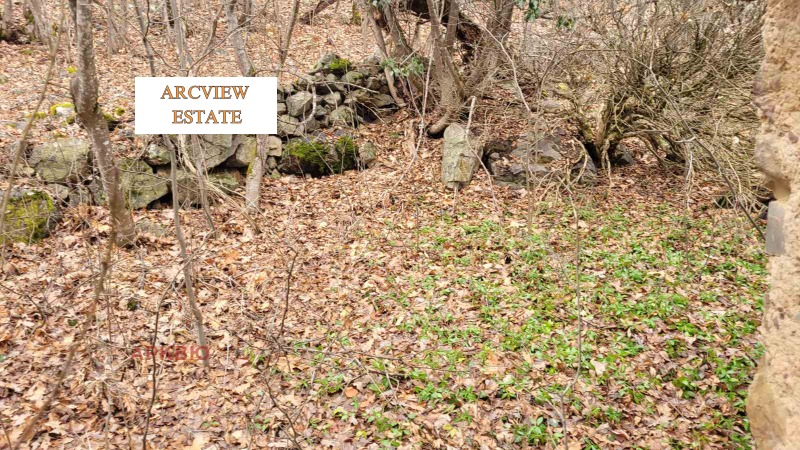 Продава ПАРЦЕЛ, гр. Своге, област София област, снимка 2 - Парцели - 53247378