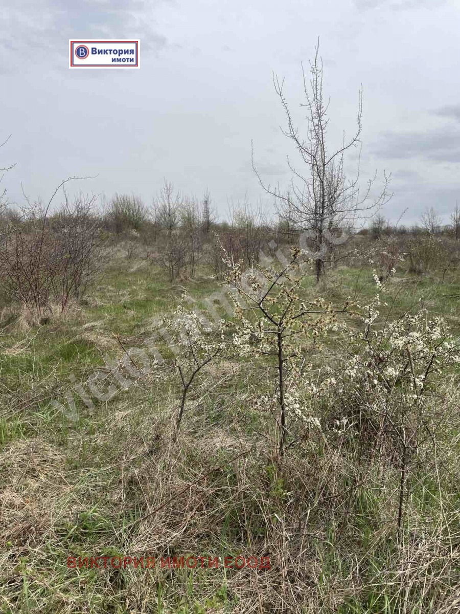 Продава ПАРЦЕЛ, с. Арбанаси, област Велико Търново, снимка 2 - Парцели - 45006442