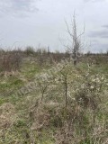 Продава ПАРЦЕЛ, с. Арбанаси, област Велико Търново, снимка 2