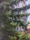 Продава КЪЩА, град София, Модерно предградие • 310000 € • 81801701 — Holmes.bg