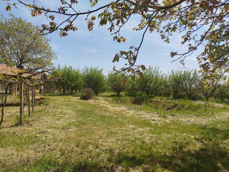 Na prodej  Dům oblast Ruse , Bistrenci , 180 m2 | 31817804 - obraz [16]