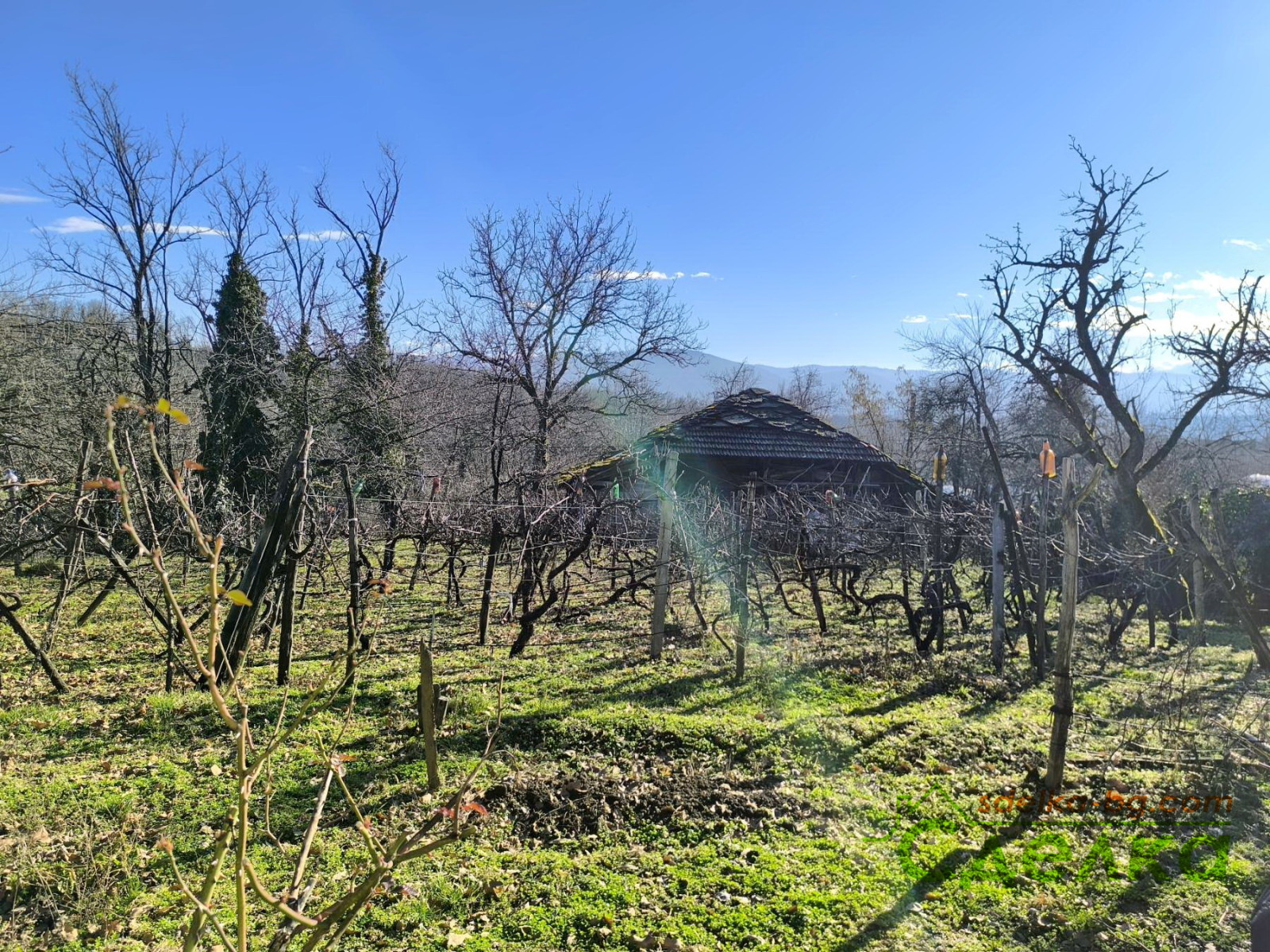Продава КЪЩА, с. Пецовци, област Габрово