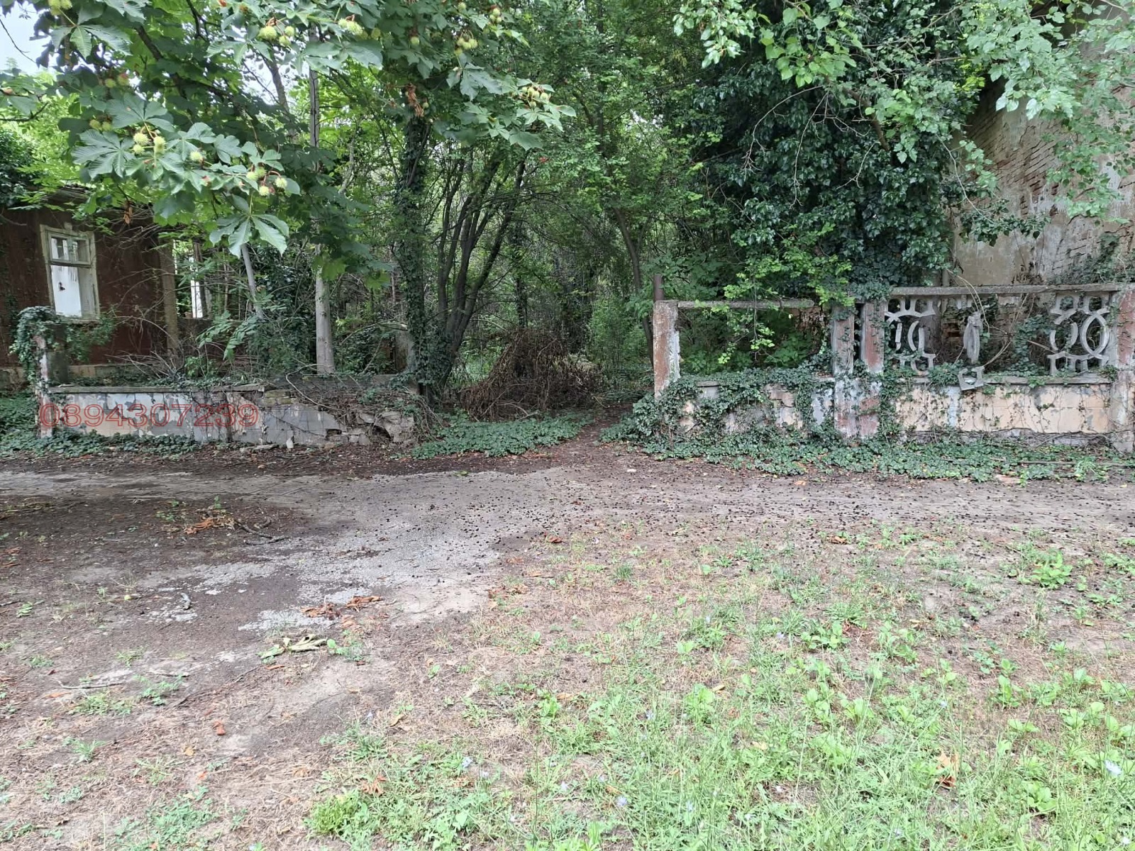 Продава ПАРЦЕЛ, с. Бърдарски геран, област Враца, снимка 3 - Парцели - 55276222