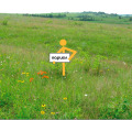 Продава ПАРЦЕЛ, област Плевен, с. Тученица • 18100 € • 66960369 — Holmes.bg